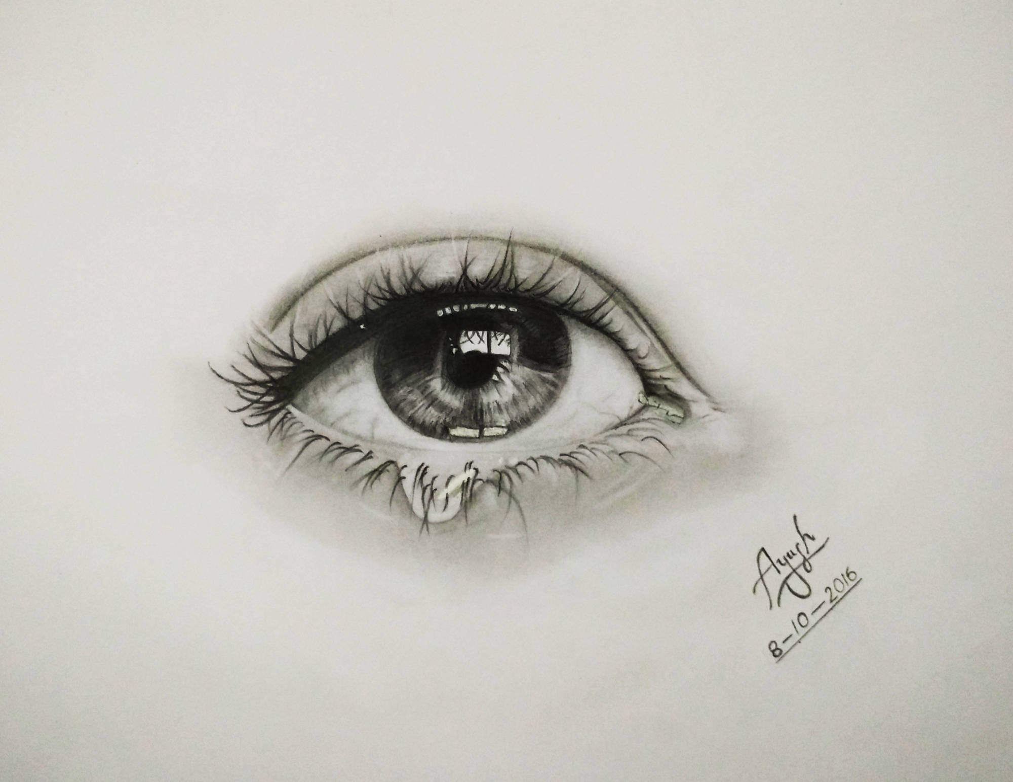 Eye